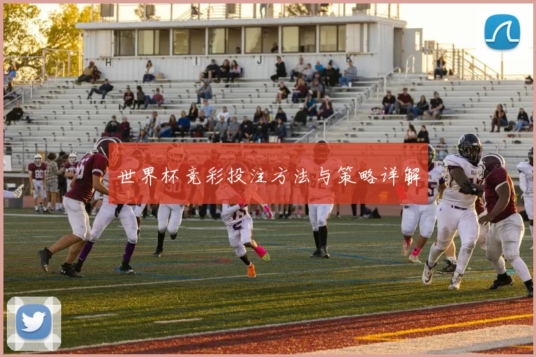 世界杯竞彩投注方法与策略详解