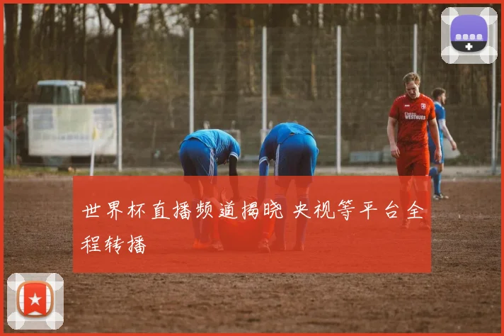 世界杯直播频道揭晓 央视等平台全程转播