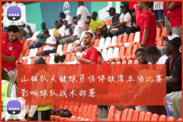山猫队关键球员伤停缺席本场比赛影响球队战术部署