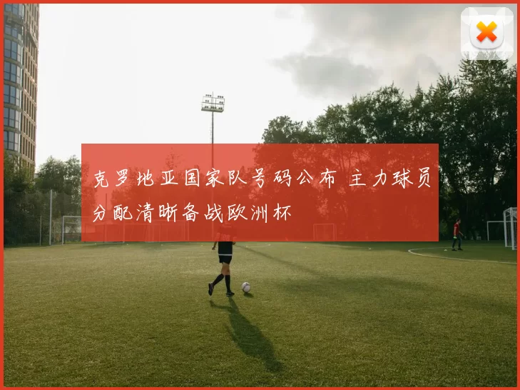 克罗地亚国家队号码公布 主力球员分配清晰备战欧洲杯