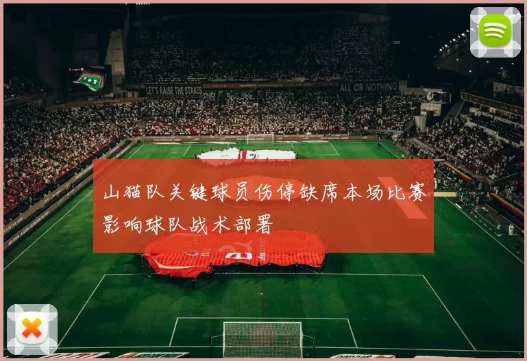 山猫队关键球员伤停缺席本场比赛影响球队战术部署